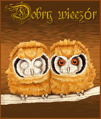 Mrugające sowy na dobry wieczór